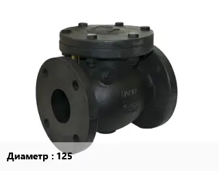 Клапан чугунный 125 Ру16 обратный, двустворчатый от -35 до +130